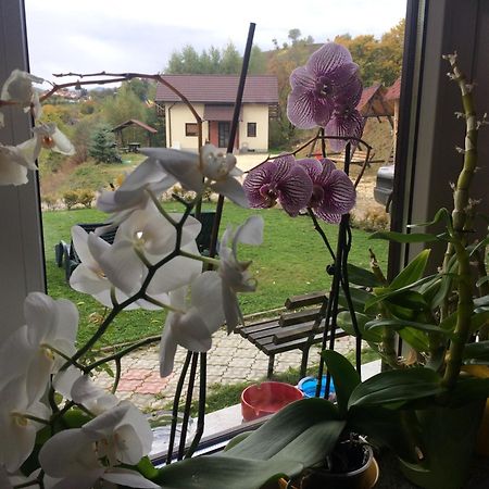 Cabana 7 Brazi Poiana Mărului Buitenkant foto
