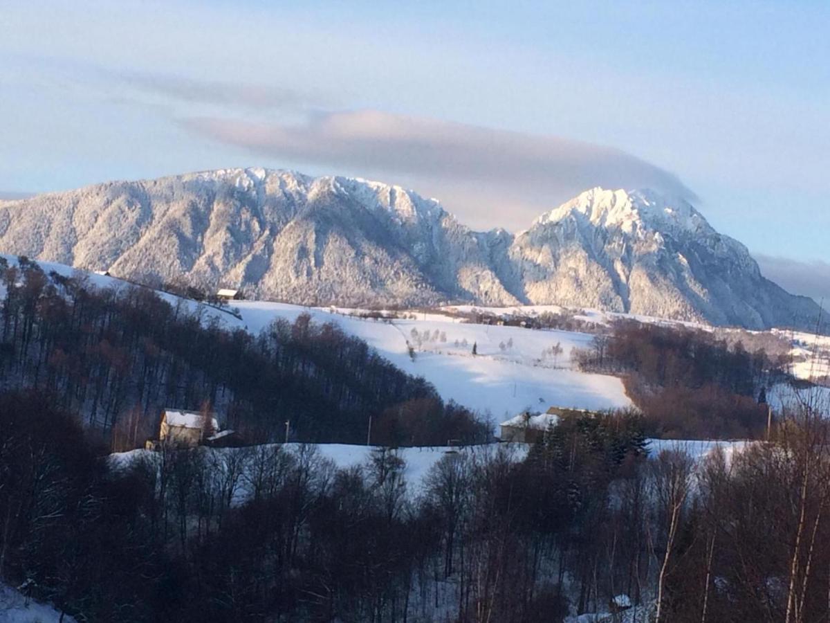 Cabana 7 Brazi Poiana Mărului Buitenkant foto