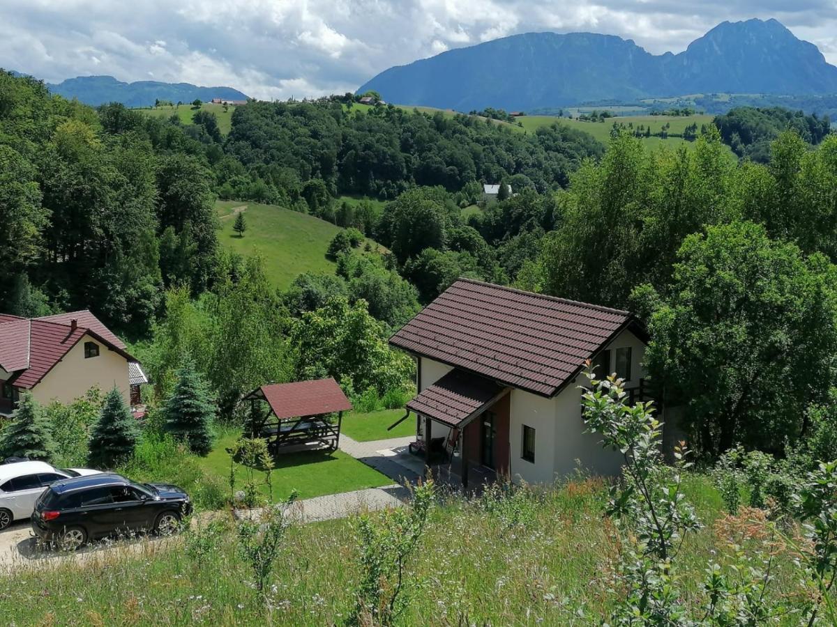 Cabana 7 Brazi Poiana Mărului Buitenkant foto