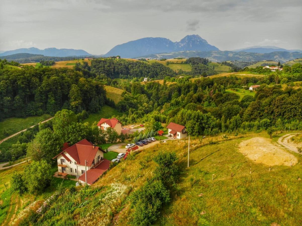 Cabana 7 Brazi Poiana Mărului Buitenkant foto