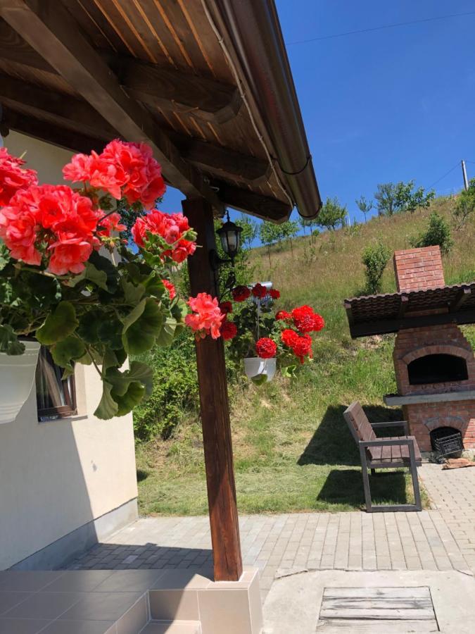 Cabana 7 Brazi Poiana Mărului Buitenkant foto
