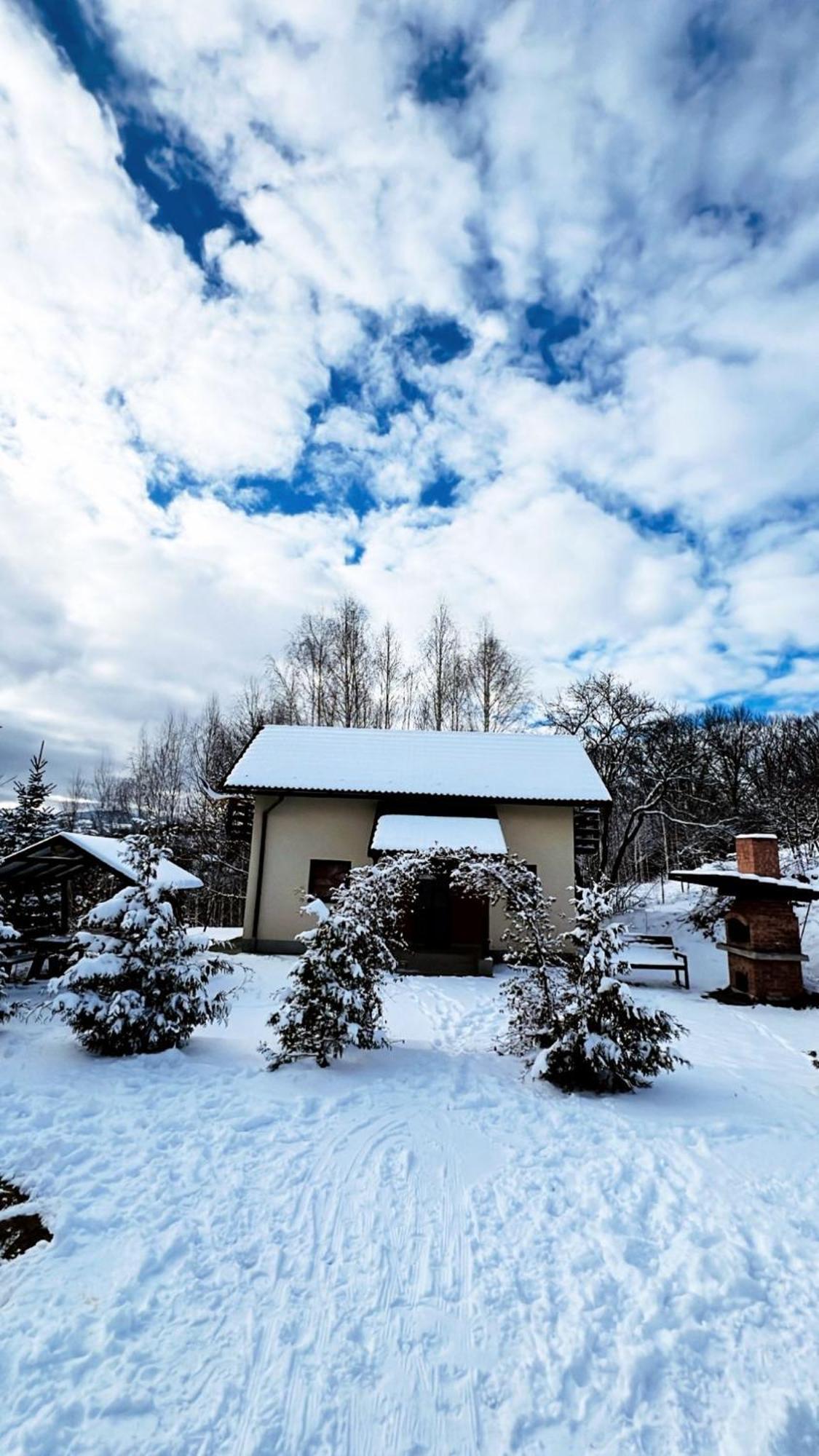 Cabana 7 Brazi Poiana Mărului Buitenkant foto