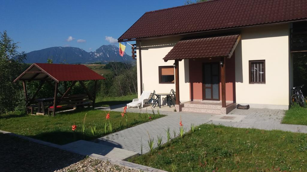 Cabana 7 Brazi Poiana Mărului Buitenkant foto