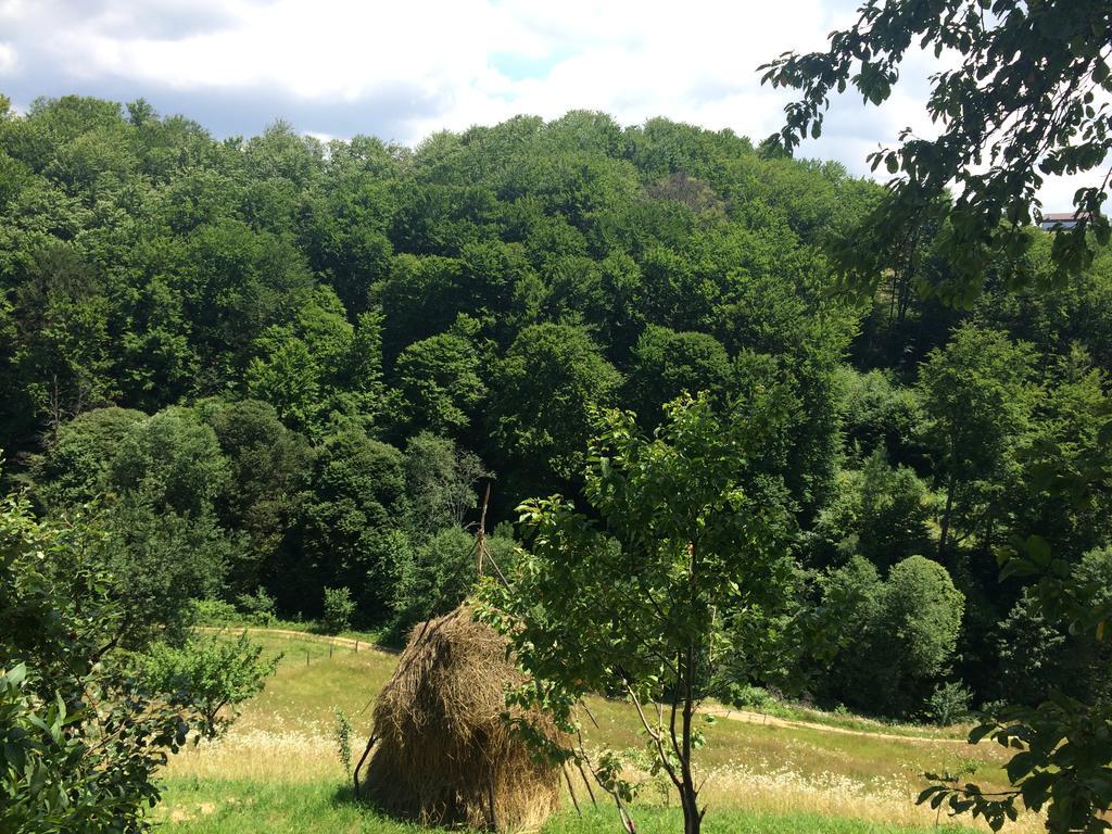 Cabana 7 Brazi Poiana Mărului Buitenkant foto
