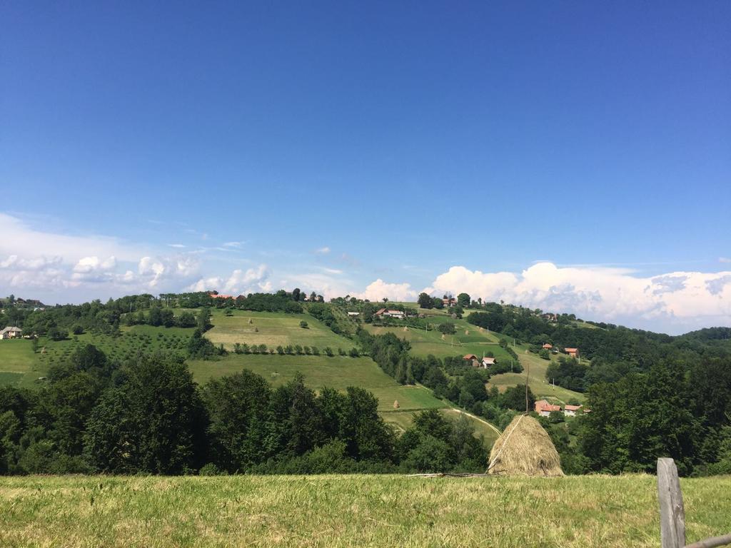 Cabana 7 Brazi Poiana Mărului Buitenkant foto