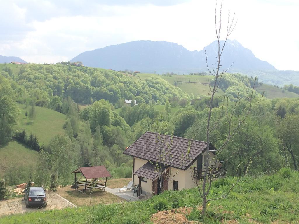 Cabana 7 Brazi Poiana Mărului Buitenkant foto