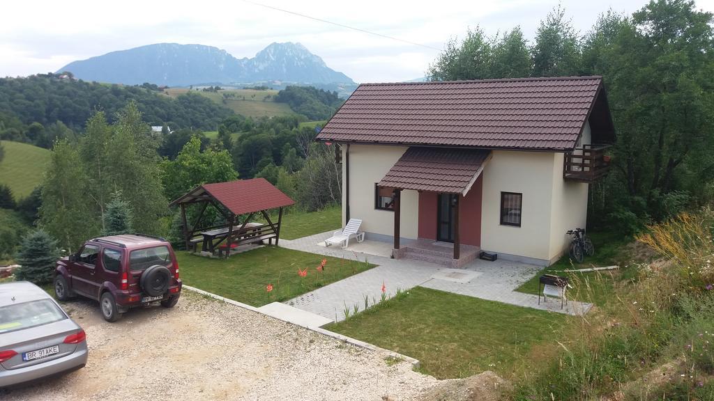 Cabana 7 Brazi Poiana Mărului Buitenkant foto