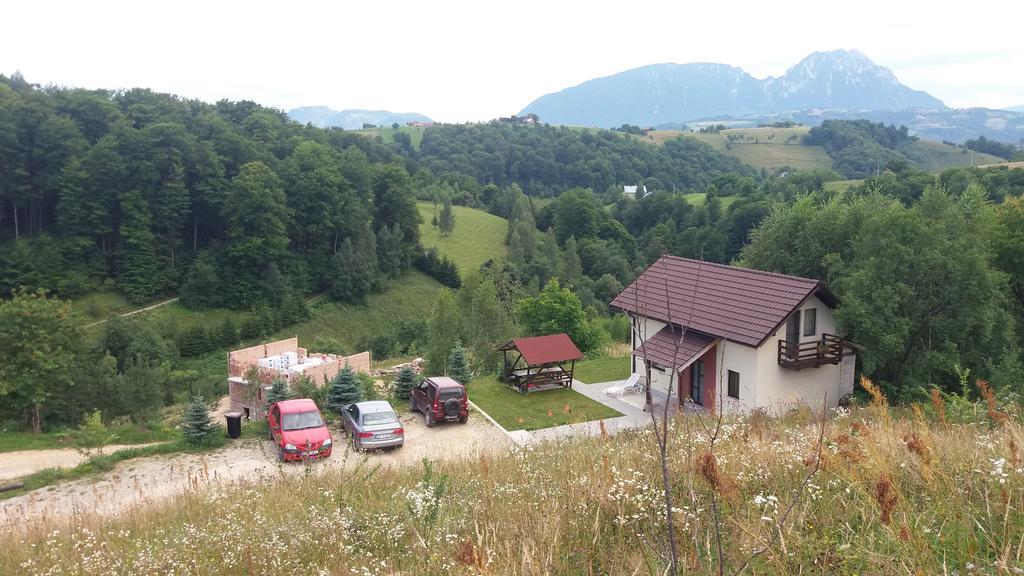 Cabana 7 Brazi Poiana Mărului Buitenkant foto