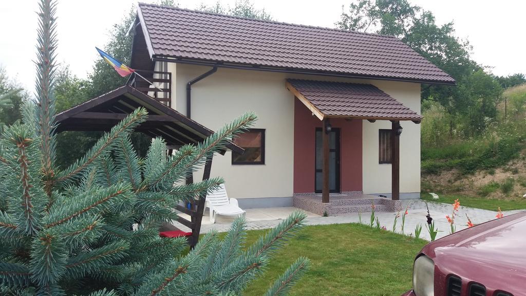 Cabana 7 Brazi Poiana Mărului Buitenkant foto