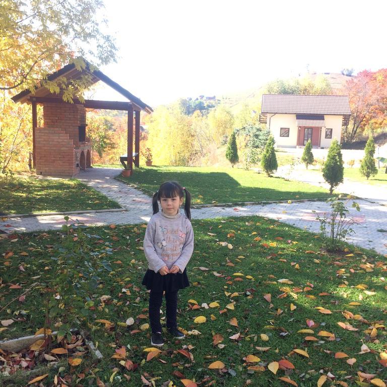 Cabana 7 Brazi Poiana Mărului Buitenkant foto