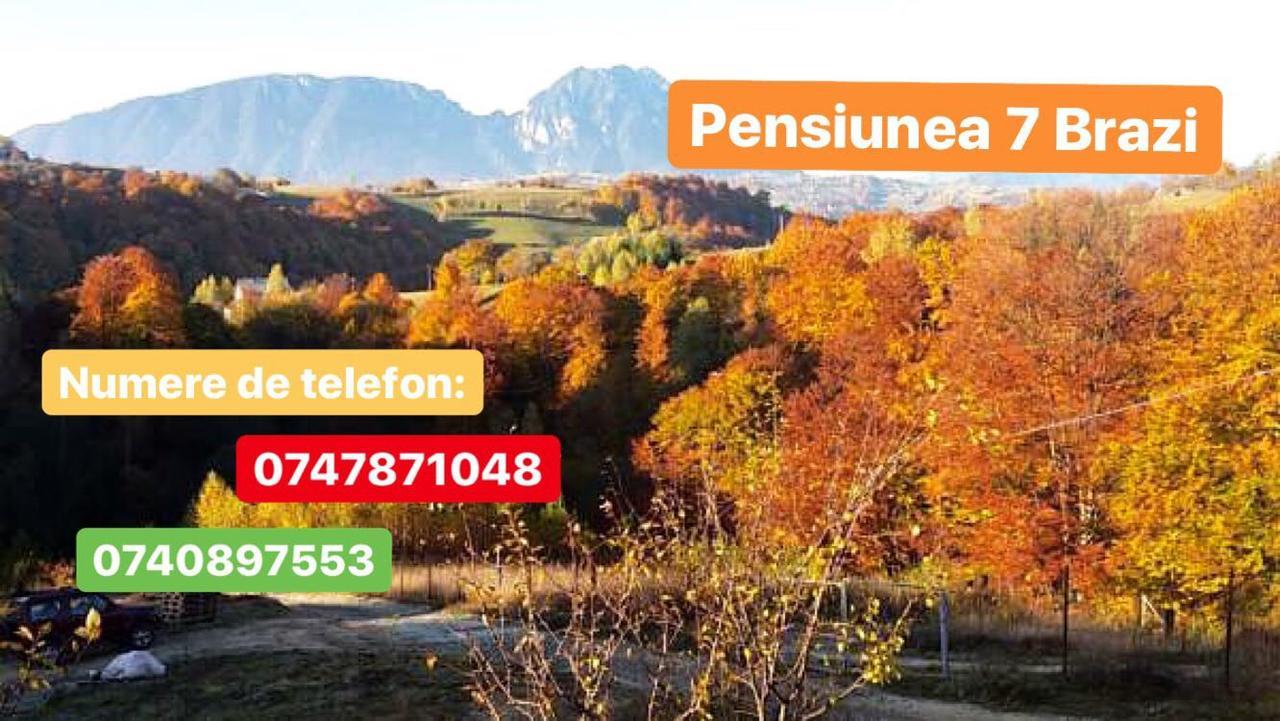 Cabana 7 Brazi Poiana Mărului Buitenkant foto