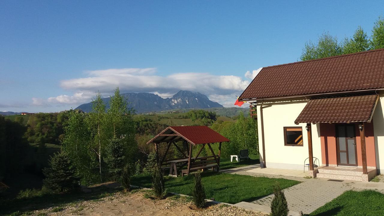 Cabana 7 Brazi Poiana Mărului Buitenkant foto
