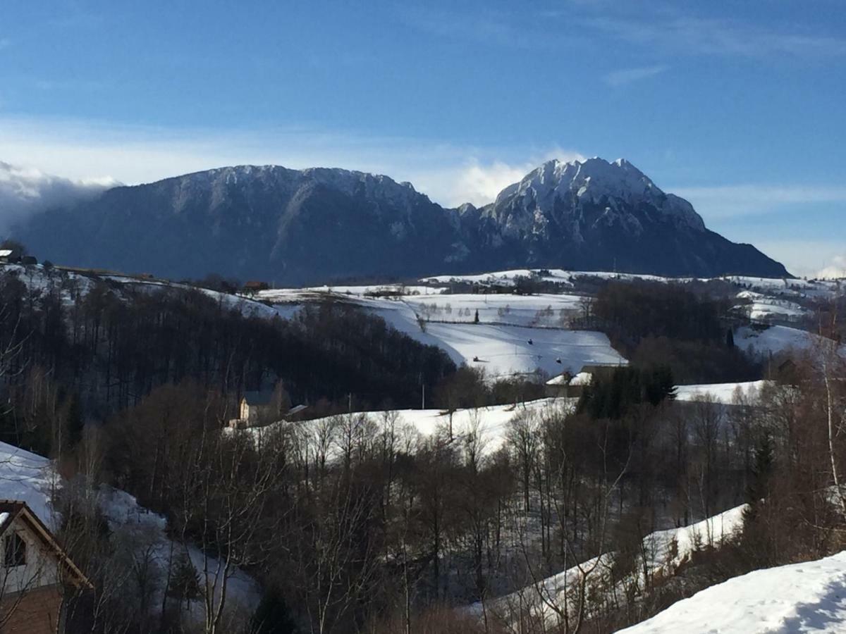 Cabana 7 Brazi Poiana Mărului Buitenkant foto