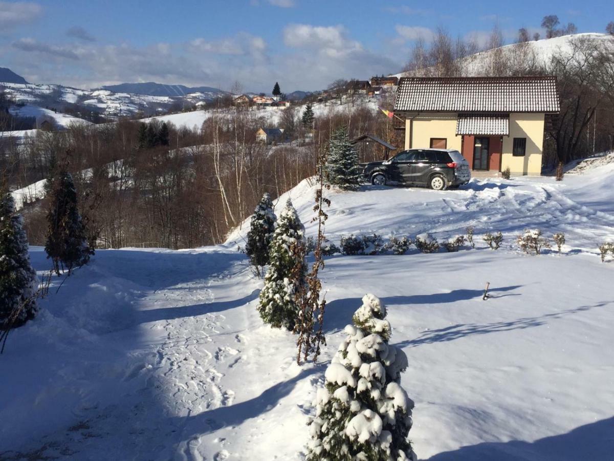 Cabana 7 Brazi Poiana Mărului Buitenkant foto