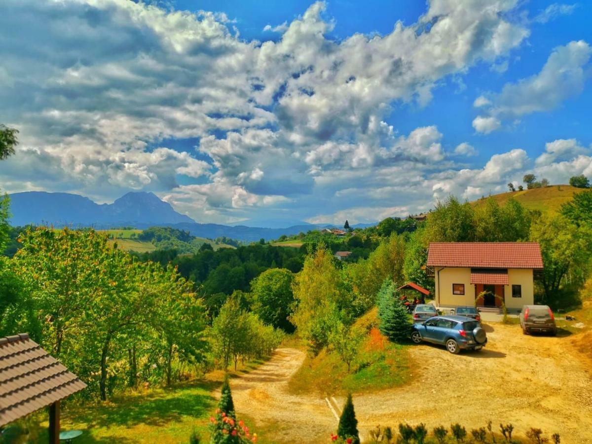 Cabana 7 Brazi Poiana Mărului Buitenkant foto